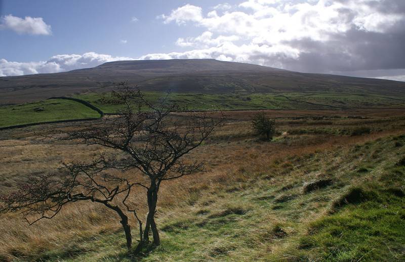 Under Combe Scar. 